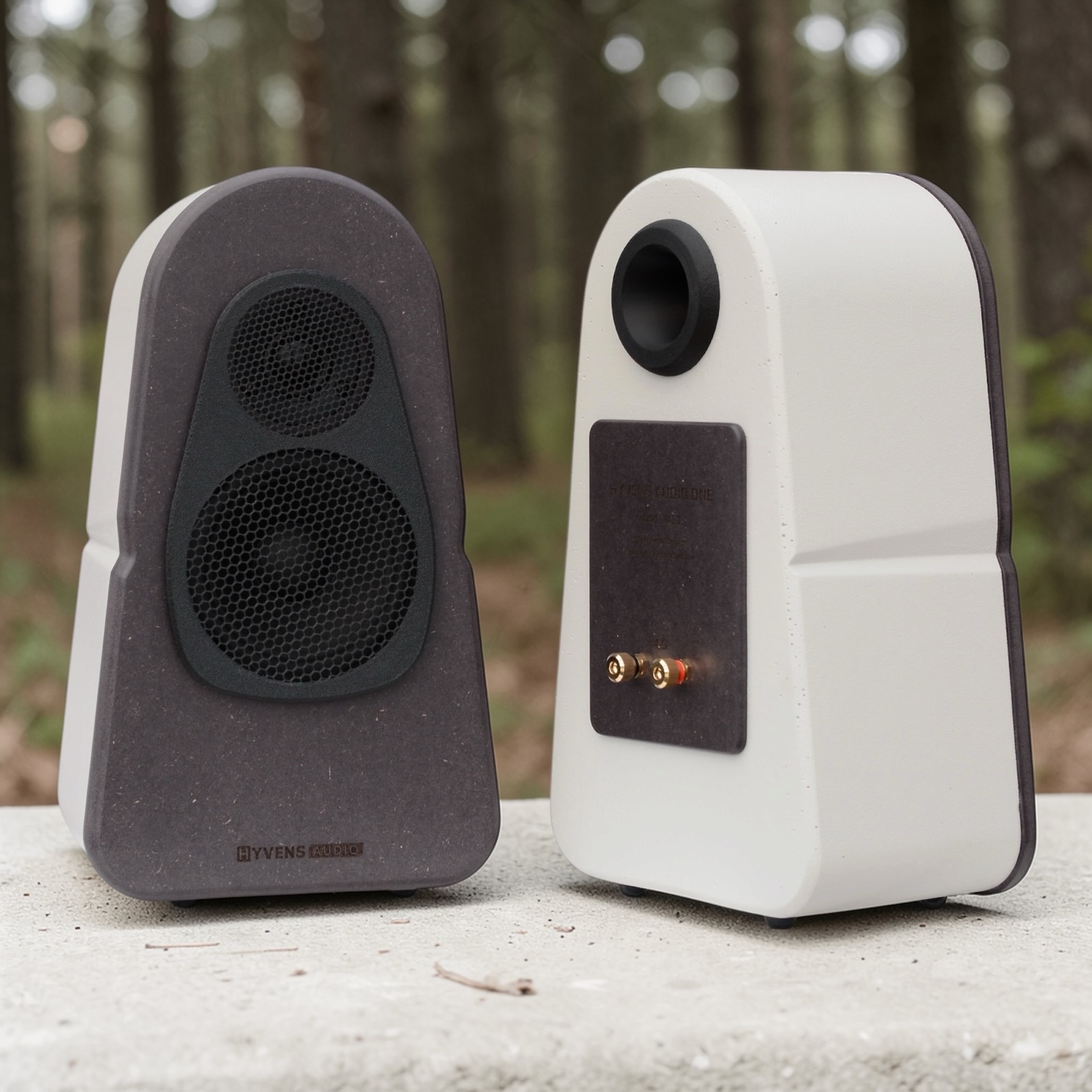 Hyvens Audio One framifrån och bakifrån